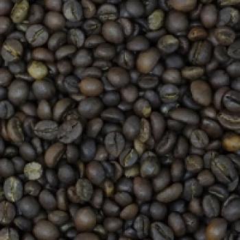 Elephant Beans Coffee `Wayanad Kaapi` Indian Robusta Espresso