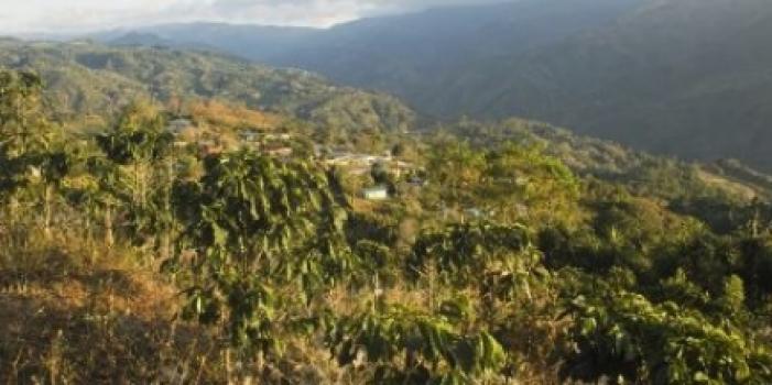 Grandoro Gourmetkaffee Nicaragua Pacamara Estate Los Placeres